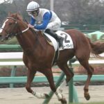 [競馬] コントレイル5.2億サガルマータ大ピンチ！デビュー戦にサンデーRが怪物ぶつける