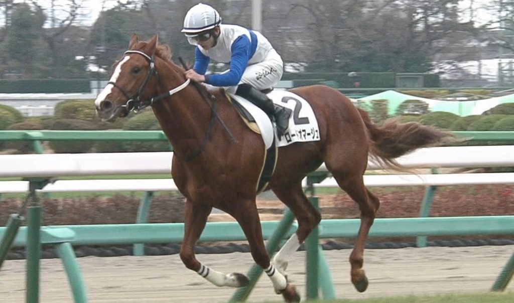 [競馬] コントレイル5.2億サガルマータ大ピンチ！デビュー戦にサンデーRが怪物ぶつける