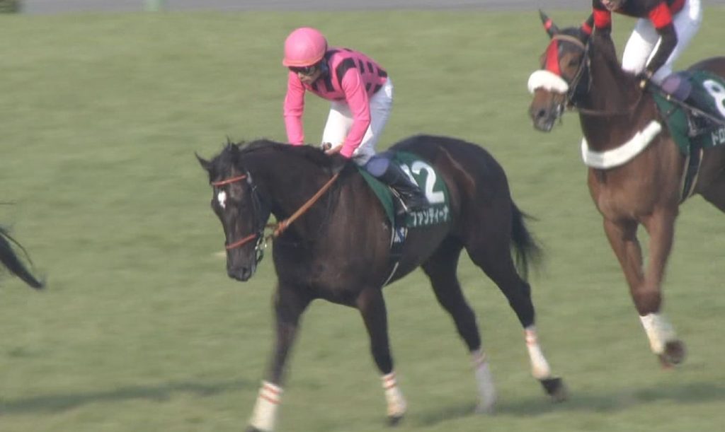 【競馬】最強馬ファンディーナの略称を考えようぜ