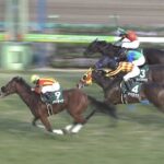 【競馬】今年の高松宮記念のメンバーよりさらに小物しか集まらなかったG1って存在したことあるの?