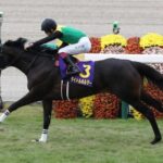 好きな弥生賞馬