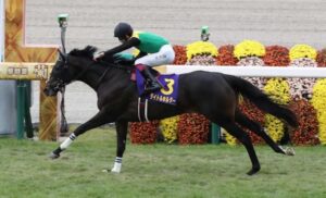 好きな弥生賞馬