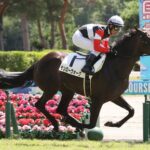 【2歳新馬】キズナ産駒のモンローウォークがデビュー戦快勝!