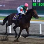 種牡馬クリソベリル、終わる