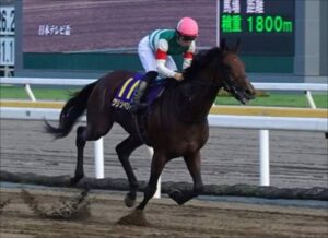 種牡馬クリソベリル、終わる