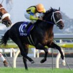ステイゴールド系さん。得意だった長距離GⅠが勝てない
