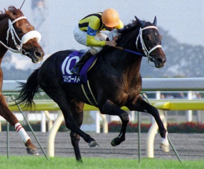 ステイゴールド系さん。得意だった長距離GⅠが勝てない
