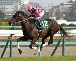 日本競馬史上最も過大評価された馬 Part4