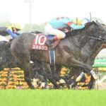 【競馬予想】[1]第61回新潟記念(GⅢ) /2025