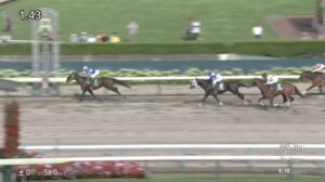 【エルムステークス2025】結果・動画/ペリエールが抜け出し快勝