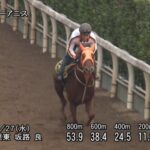 【中京2歳ステークス2025】追い切り/調教を見てわかる事