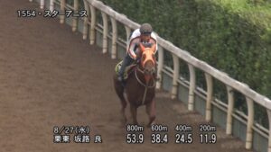 【中京2歳ステークス2025】追い切り/調教を見てわかる事