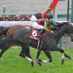 【新潟記念】クイーンズウォーク転倒→放馬で発走除外