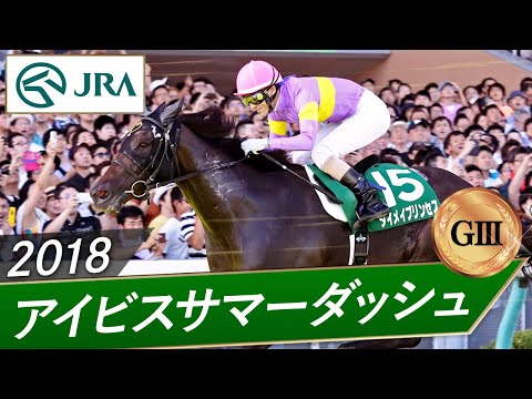 2018年 アイビスサマーダッシュ(GⅢ) | ダイメイプリンセス | JRA公式