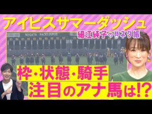 【先週ドンピシャ的中！】「追い切り抜群！ポテンシャルある」ピューロマジック、テイエムスパーダ、コラソンビート・・・アイビスサマーダッシュ(ＧⅢ)を元ジョッキーの細江純子さんが解説！＜細江純子のネタ帳＞