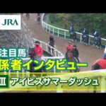 【注目馬 関係者インタビュー】2025年 アイビスサマーダッシュ|JRA公式