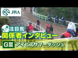【注目馬 関係者インタビュー】2025年 アイビスサマーダッシュ｜JRA公式