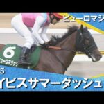 2025年 アイビスサマーダッシュ(GⅢ) ピューロマジック【カンテレ公式】