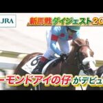 【新馬戦ダイジェスト】プロメサアルムンド・コニーアイランド ほか | 8月2日~8月3日(新潟・中京・札幌) | JRA公式