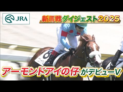 【新馬戦ダイジェスト】プロメサアルムンド・コニーアイランド ほか | 8月2日~8月3日(新潟・中京・札幌) | JRA公式