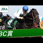 2018年 CBC賞(GⅢ) | アレスバローズ | JRA公式
