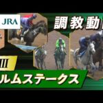 【調教動画】2025年 エルムステークス｜JRA公式