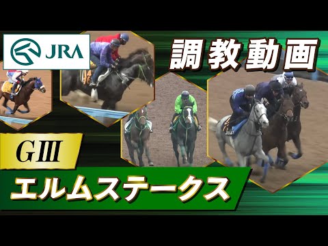 【調教動画】2025年 エルムステークス｜JRA公式