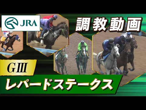 【調教動画】2025年 レパードステークス｜JRA公式