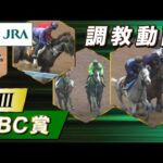 【調教動画】2025年 CBC賞|JRA公式