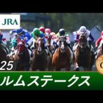 2025年 エルムステークス(GⅢ) | 第30回 | JRA公式