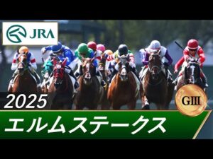 2025年 エルムステークス（GⅢ） | 第30回 | JRA公式