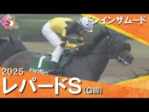 2025年 レパードステークス(ＧⅢ)  ドンインザムード【カンテレ公式】