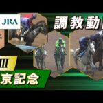 【調教動画】2025年 中京記念|JRA公式