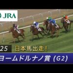 【日本馬出走】2025年 ギヨームドルナノ賞(G2) | アロヒアリイ | JRA公式