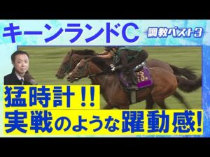【７週連続調教診断上位馬が激走！】パンジャタワー、ウインカーネリアン、カルプスペルシュ・・・競馬エイト・高橋賢司トラックマンの調教解説＜キーンランドカップ(ＧⅢ)＞