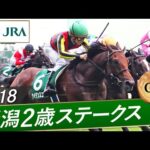 2018年 新潟2歳ステークス(GⅢ) | ケイデンスコール | JRA公式