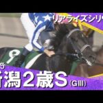 2025年 新潟2歳ステークス(GⅢ) リアライズシリウス 【カンテレ公式】