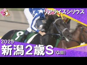2025年 新潟2歳ステークス(ＧⅢ) リアライズシリウス 【カンテレ公式】