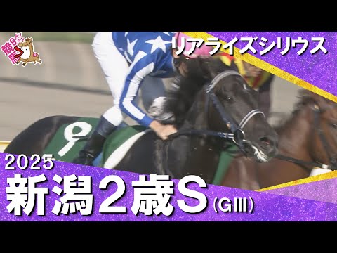 2025年 新潟2歳ステークス(GⅢ) リアライズシリウス 【カンテレ公式】