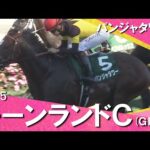 2025年 キーンランドカップ(GⅢ) パンジャタワー 【カンテレ公式】