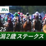 2025年 新潟2歳ステークス(GⅢ) | 第45回 | JRA公式