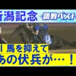 【8週連続調教診断上位馬が激走!】エネルジコ、クイーンズウォーク、ブレイディヴェーグ・・・競馬エイト・高橋賢司トラックマンの調教解説<新潟記念(GⅢ)>