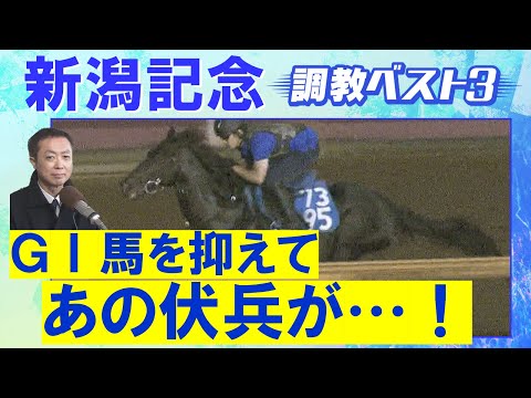 【8週連続調教診断上位馬が激走!】エネルジコ、クイーンズウォーク、ブレイディヴェーグ・・・競馬エイト・高橋賢司トラックマンの調教解説<新潟記念(GⅢ)>