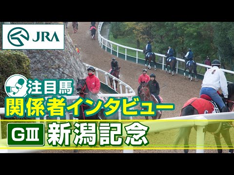 【注目馬 関係者インタビュー】2025年 新潟記念|JRA公式