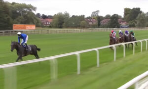 ダノンデサイル戸崎「道中リラックスさせることが出来なかった」