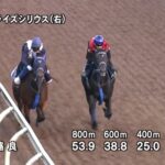 【新潟2歳ステークス2025】追い切り/動きを見極め勝利に近づけ