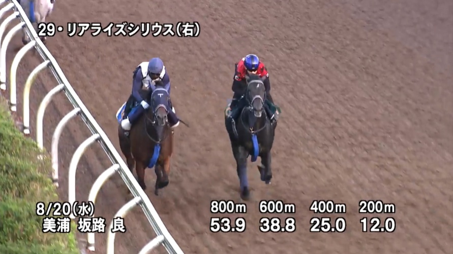 【新潟2歳ステークス2025】追い切り/動きを見極め勝利に近づけ