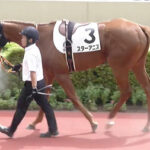 【競馬予想】第1回中京2歳ステークス(GⅢ) /2025