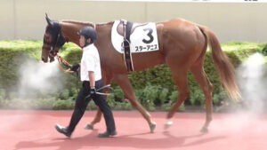 【競馬予想】第1回中京2歳ステークス(GⅢ) /2025