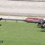 【2歳新馬】プロメサアルムンド順当に勝ち上がる